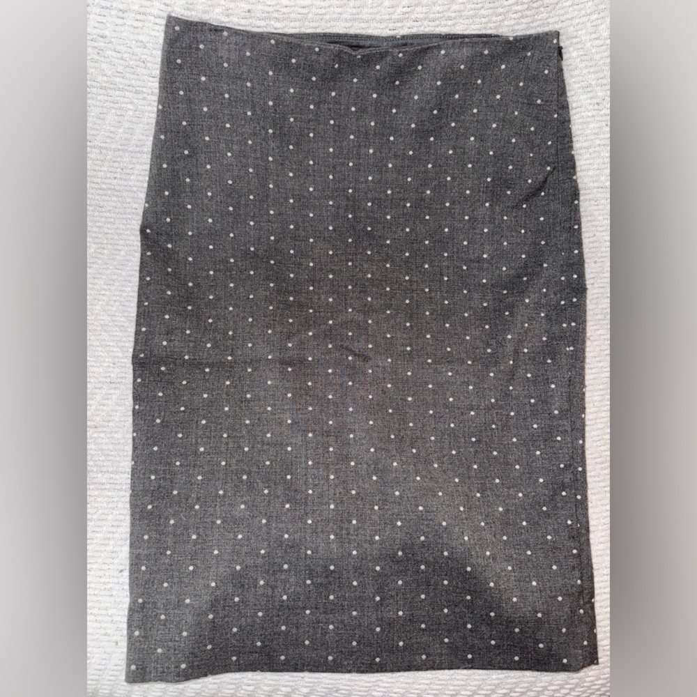 The Limited skirt